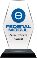 FederalMogul-Defects
